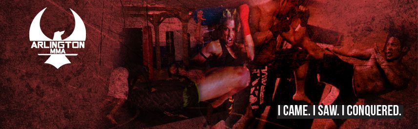 UFC Legend's, Mixed Martial Arts photo
